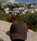 DLV Earth Cap