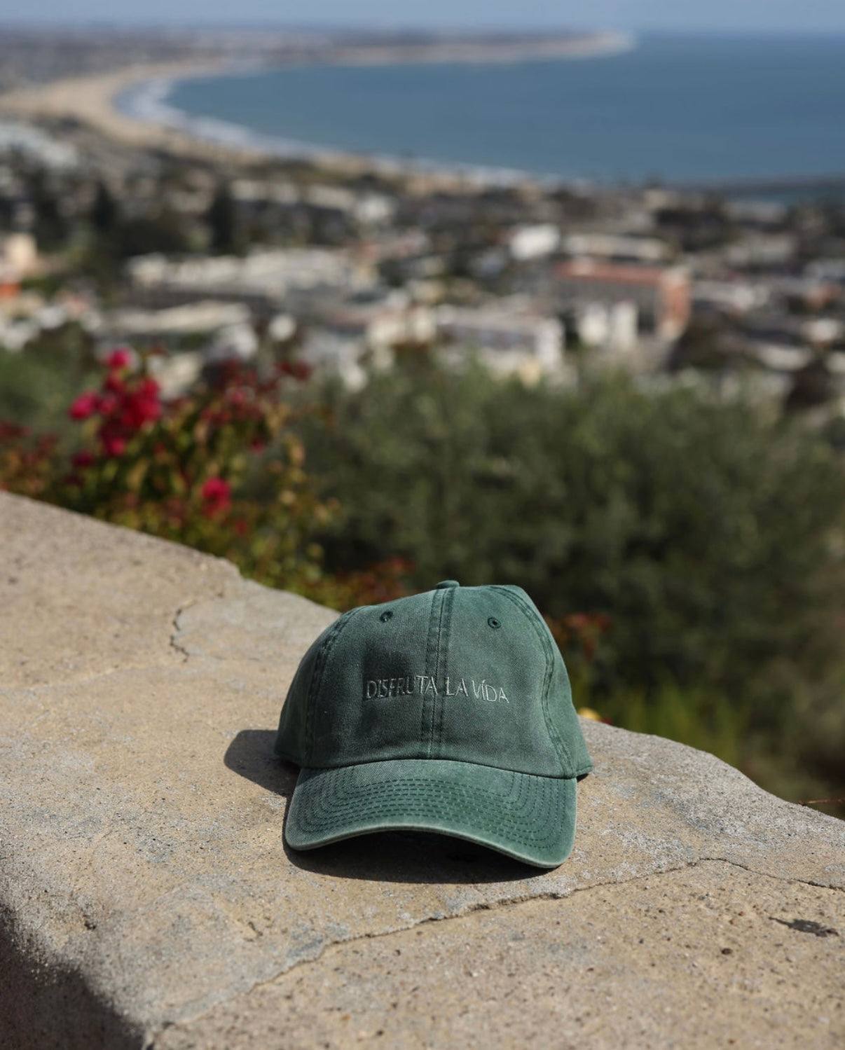 DLV Sage cap